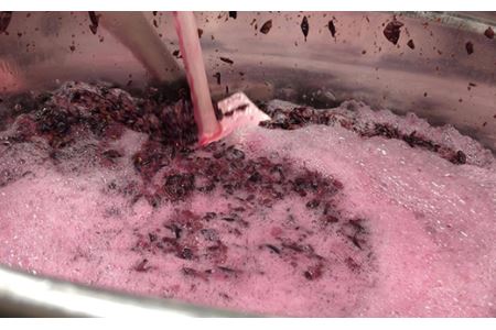 田舎式ワイン「月頭」＆「月泡」２本セット