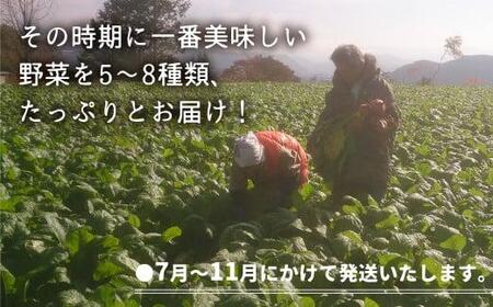 【先行予約】3回定期便　3か月定期便【野菜定期便 7～11月】 朝採れ 野菜セット 5～8種 | 自然栽培 おまかせ トマト ナス キュウリ ゴーヤ オクラ ネギ ししとう 冬瓜 ジャガイモ 玉ねぎ 飛騨高山 よしま農園 CK100