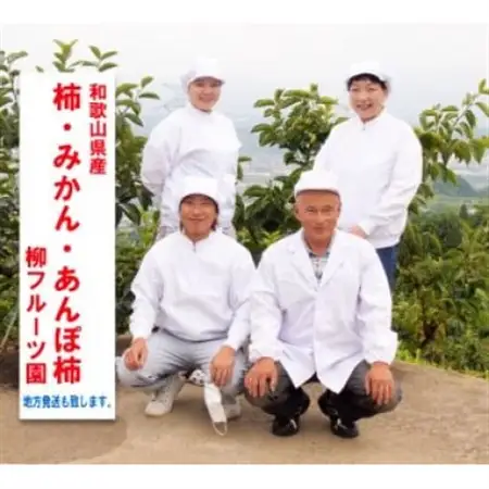 柿【先行受付】柳フルーツ園(訳あり)たねなし柿 約2kg_果物・フルーツ 柿（カキ）  かき_【1430462】