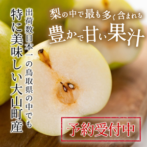 【先行予約】DS-15　新甘泉梨（しんかんせんなし）（３ｋｇ）