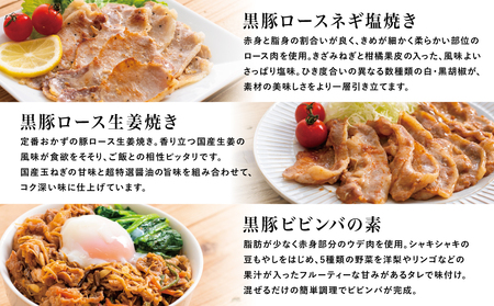 【鹿児島県産】味付け黒豚セット 3種類 計1kg（ネギ塩、生姜焼き、ビビンバ） 焼肉 総菜 おかず 簡単調理 お弁当 味付き ネギ塩 生姜焼き ビビンバ 小分け 冷凍 国産 黒豚 ロース  コワダヤ 
