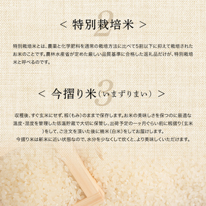北海道産 特別栽培米 ゆめぴりか 白米 5kg 令和7年産 今摺り米  道産米 農家直送 NP1-242