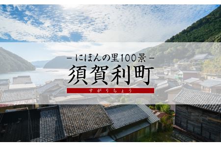 海から見る『にほんの里100景』遊覧船クルーズツアー　5名様まで　ST－1 