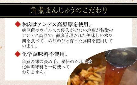 【AB197】＜岩崎本舗＞の長崎角煮まんじゅう15個入箱