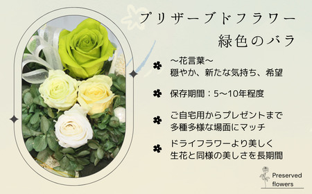 プリザーブドフラワー アレンジメント 緑色のバラ＜老舗の花屋さんの手づくり/ギフト用＞_老舗の花屋さん 手づくり ギフト用 贈呈 記念日 結婚 誕生日 お祝い プリザーブ ド フラワーアレンジメント フローリストやまくら 北海道 釧路町 釧路超 特産品 _【1292874】