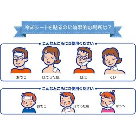 ひえひえ天国 冷却シート 10時間 大人用 30箱入り(16枚x30箱ニ480枚)【1292394】