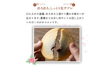 はまなす街道[ミルクチョコレート12枚・ホワイトチョコレート12枚] お菓子