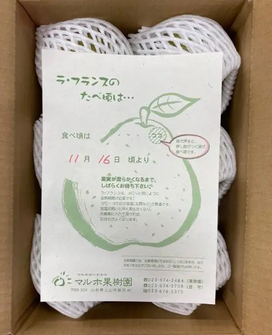 西洋梨（ラ・フランス）３ｋｇ　大玉　ご家庭用　0078-2603