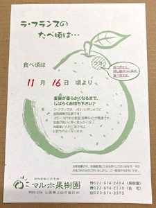 西洋梨（ラ・フランス）６ｋｇ　ご家庭用　0078-2606