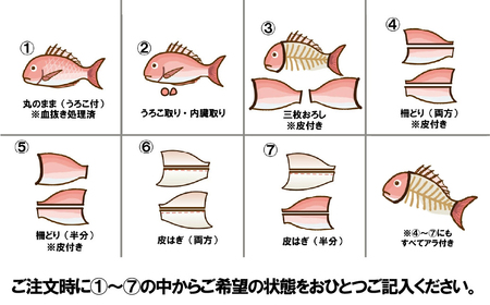 日本本土最西端の海で育った高級真鯛