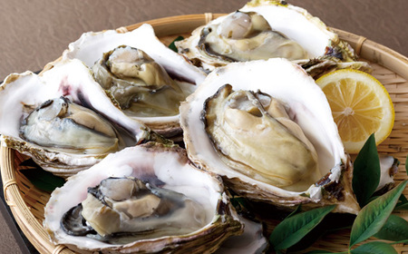 九十九島かき本舗岩がきA  夏牡蠣 生牡蠣 殻付き牡蠣 ブランド牡蠣 牡蠣 　