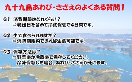 産地直送【 あわび・さざえセット】生食可 1.2kg あわび A176
