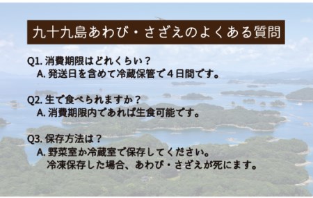 産地直送【 あわび・さざえセット】生食可 1.6kg あわび A177a