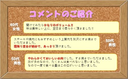 牛肉 【 長崎 和牛 】 牛ロース 700g 肉 B107