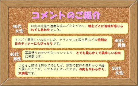 長崎和牛【サーロインステーキ】 (600g) ステーキ 和牛 B109 