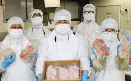 【鶏肉4部位】ながさき福とり 鶏肉 (もも・むね・手羽先・手羽元) バラエティセット 総計2.6kg 【長崎福鳥】