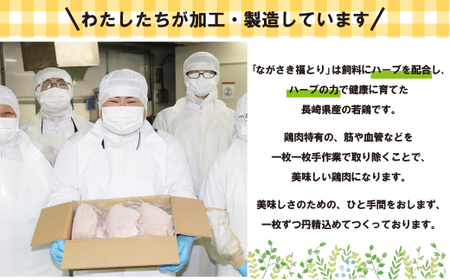 【 ながさき福とり 】 鶏肉 もも ・ むねセット 6kg 鶏肉 B304b