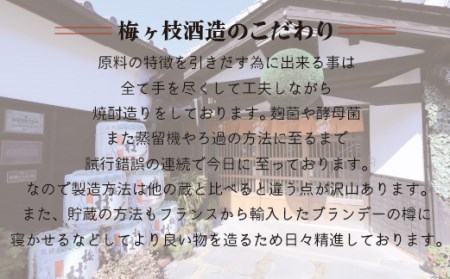 純米吟醸･吟醸酒･純米酒 日本酒一升瓶3本【創業230年】一升瓶 長崎蔵元【梅ヶ枝酒造】日本酒 飲み比べ おすすめ 人気 辛口 中口 佐世保  一升瓶