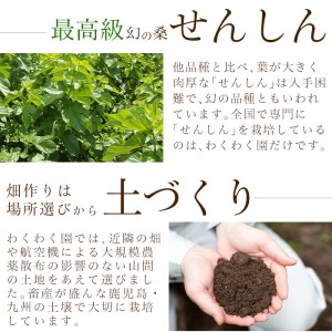 a793 国産！わくわく園有機桑茶・計120包(2g×60包・2袋)【わくわく園】