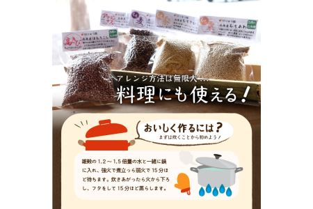 さいはら雑穀5種セット