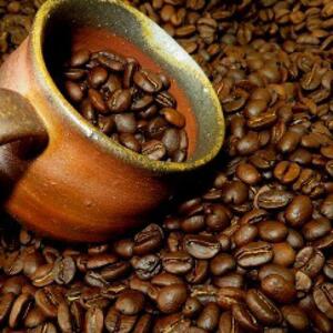 [周南市]焙煎コーヒー豆『ほたるの里珈琲』200g×3【豆のまま】