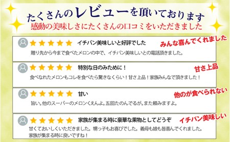 【定期便×3回】クラウンメロン 並（白）1.4kg 1玉 果物類 メロン青肉 3か月 フルーツ 