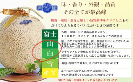 【6か月定期便】クラウンメロン【上（山等級）】中玉（1.3kg前後）2玉入り 果物類 メロン青肉 6回 半年 果物 フルーツ 