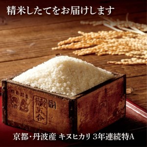 令和5年産 米 10kg 京都丹波産 キヌヒカリ 白米＜JA京都 たわわ朝霧＞ 発送に合わせて精米