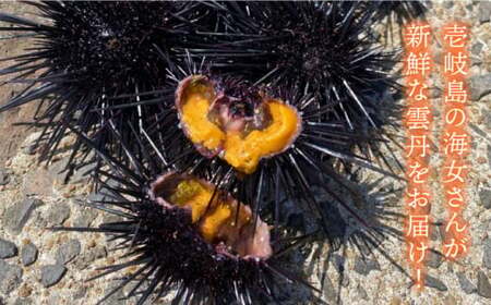 生うに 2本 [JBD005] 紫うに