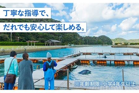 1日イルカトレーナー体験 《壱岐市》【壱岐イルカパーク＆リゾート】[JBF002] 50000 50000円 5万円