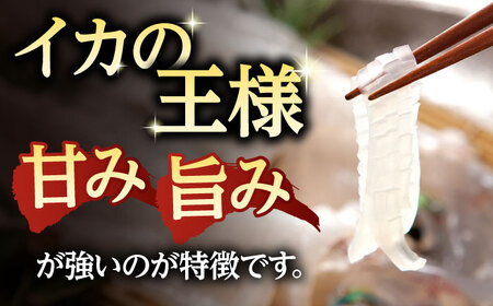 アオリイカ（処理済み） 700g前後 《壱岐市》[JCG018]