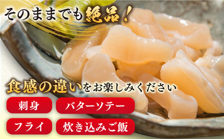 アコヤ 貝 貝柱 1kg [JCJ004]