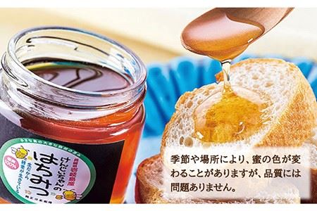【先行予約】ニホンミツバチ 生蜂蜜 600g×2（パッカー300g・化粧箱付き） 【2026年6月中旬以降順次発送】《壱岐市》【憲ちゃんハチミツ】[JCL011] ハチミツ 蜂蜜 日本蜜蜂 ジャム 贅沢 高級 ギフト プレゼント 贈り物 化粧箱 74000 74000円 のし プレゼント ギフト