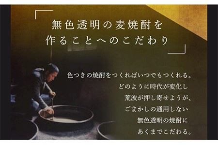 麦焼酎 隆美焼酎 25度 720ml 2本 《壱岐市》【天下御免】[JDB006]焼酎 むぎ焼酎 お酒 14000 14000円 のし ギフト