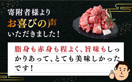 【全6回定期便 】特選 壱岐牛 切り落とし 500g (牛丼/肉じゃが/炒め物) [JDD010]