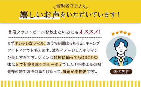【全12回 定期便 】クラフトビール 地ビール  24本詰め合わせ（3種類×8本）【ISLAND BREWERY】 《 壱岐市 》[JED032] 660000 660000円
