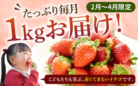【先行予約】【全3回定期便】ゆめのか 1kg （約250g×4パック）【2027年1月以降順次発送】[JEM002] いちご 苺