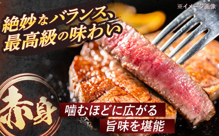 【全2回定期便】 長崎和牛 A5ランク 特選サーロインステーキ 250g×4枚 計1kg / ステーキ すてーき 和牛 牛肉 ぎゅうにく 国産牛 牛 サーロイン A5 / 諫早市 / 焼き肉おがわ [AHCD028]
