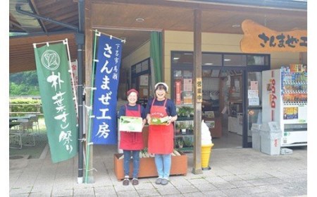 先行予約 【期間限定】「朴葉寿司」（2026年6月頃から順次発送）10個セット【24-2】