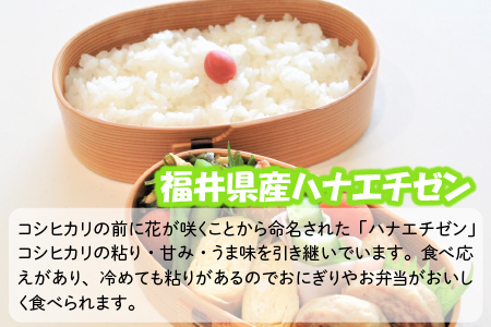 【令和7年産】 おおかわさんちの華越前 10kg 精米 [B-10803]