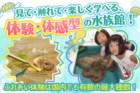 【越前松島水族館】 体験・体感型水族館の入館券プラン 【水族館 入場券 チケット 券 観光 旅行 利用券 入館券 体験 夏休み アウトドア】 [A-11103]