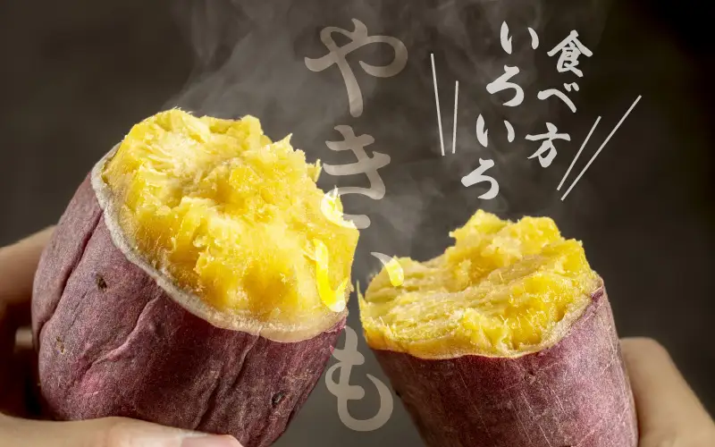 【先行予約】 三里浜金時 10kg (5kg×2箱) キュアリング加工済み 【2026年11月上旬以降順次発送】 [A-1155]