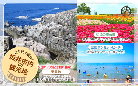 「えちぜん鉄道・福井鉄道ふるさと納税記念品共通1日フリーきっぷ」セット 【フリー切符 ローカル列車 ローカル線 観光列車 旅 えち鉄 えちてつ 路面電車 鉄道 趣味 情緒】 [A-11804]