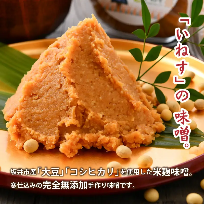 さかいの恵みが味の決め手！ しょうゆと味噌とコシヒカリ！【A-1201】