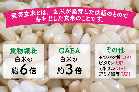 【令和7年産】【発芽玄米】コシヒカリ特選 真空パック5kg～玄米以上の栄養価と白米に近い柔らかさ～ 【無洗米 米 こしひかり 玄米 ギャバ GABA 特別栽培 食物繊維 栄養 真空パック ごはん ご飯 おいしい ふるさと納税米】 [B-2951]