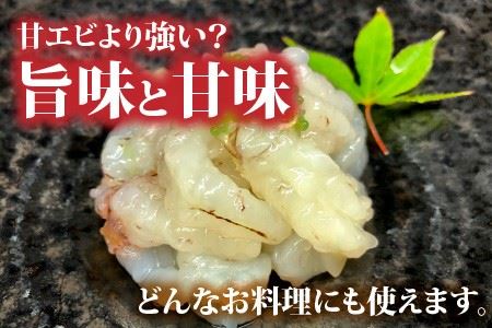 幻の逸品！とろける旨さのガサエビとやまに厳選！特製しょうゆセット [A-4374]