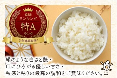 【令和7年産】 福井県のブランド米 いちほまれ 無洗米 4kg（2kg × 2袋） 無洗米 人気 品種 ブランド米 特A  [A-6115] 