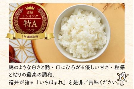 【令和7年産】定期便 ≪3ヶ月連続お届け≫ 福井県のブランド米 いちほまれ 無洗米 2kg × 3回　計6kg 【 人気 品種 ブランド米 特A 】 [B-6111]