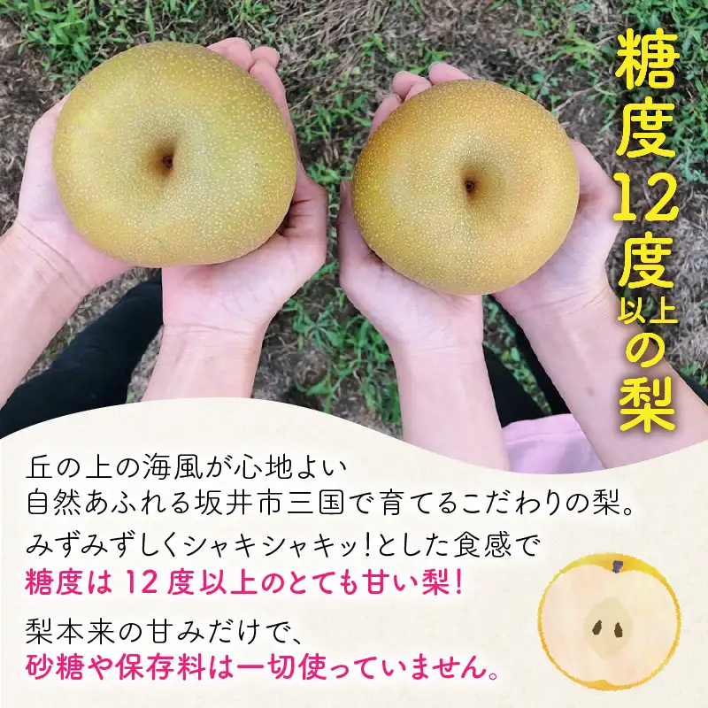 女子力高めの梨農家姉妹がおくる！ 完熟すりおろし美梨ジュース （720ml × 2本） 【なしジュース フルーツジュース 果汁飲料 果物 ギフト 贈り物】 [A-6320]