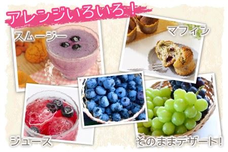 【先行予約】 減農薬にこだわった新鮮で安心な川合農園のブドウ おまかせ2房 と ブルーベリーセット 【2026年7月以降順次発送予定】 【ブドウ ぶどう ブルーベリー 果物 くだもの 果実 フルーツ 旬 新鮮 減農薬 セット 詰め合わせ 国産 冷蔵】 [A-7551]